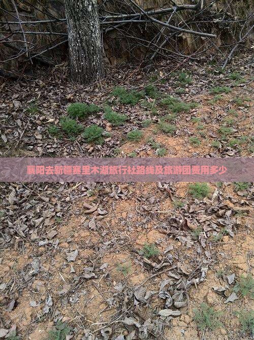 襄阳去新疆赛里木湖旅行社路线及旅游团费用多少