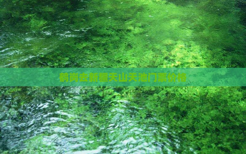 鹤岗去新疆天山天池门票价格