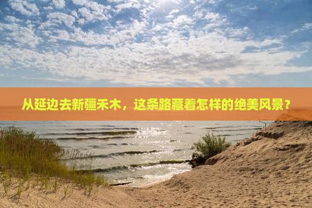 延边到新疆禾木景点