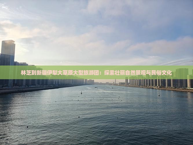 林芝到新疆伊犁大草原大型旅游团