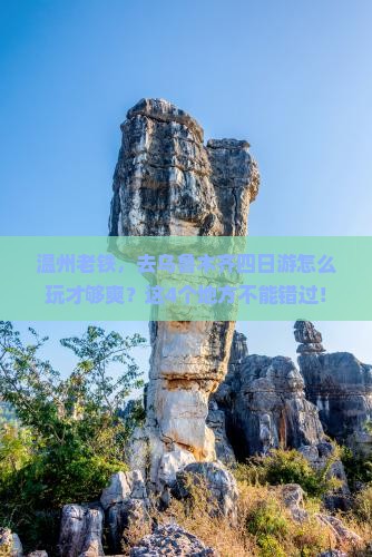 温州去新疆乌鲁木齐四日游