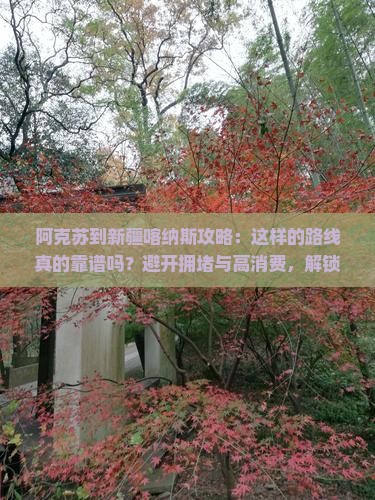 阿克苏到新疆喀纳斯攻略