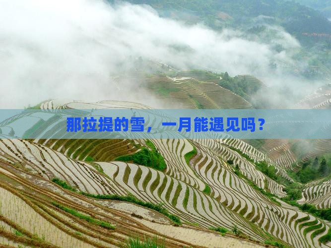 一月去新疆那拉提一日