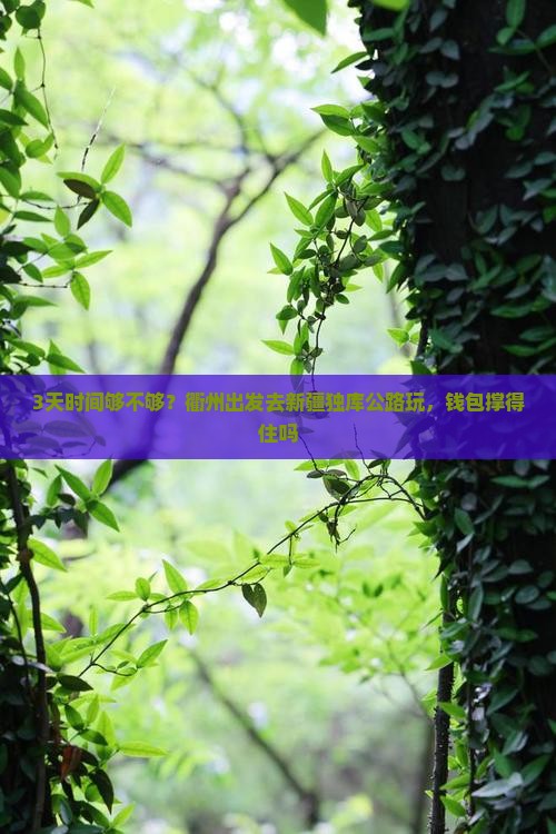 衢州到新疆独库公路三日游