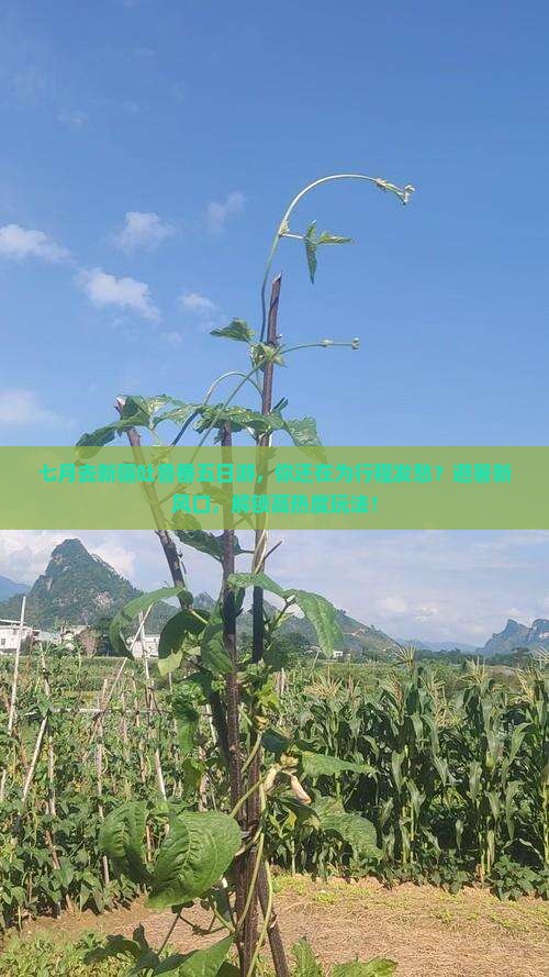 七月去新疆吐鲁番五日游