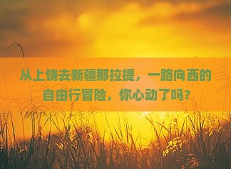 上饶到新疆那拉提自由行