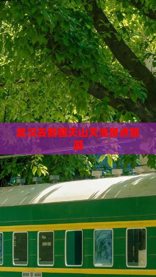 武汉去新疆天山天池景点