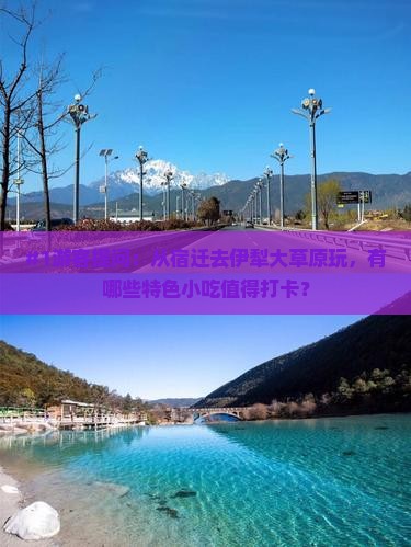 宿迁到新疆伊犁大草原旅游小吃