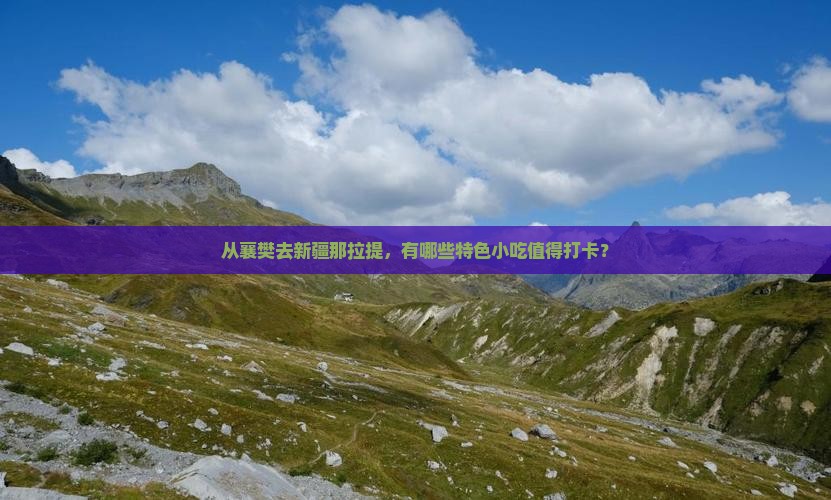 襄樊到新疆那拉提旅游小吃