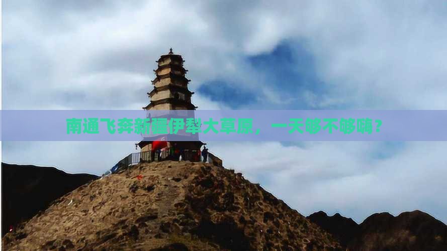 南通到新疆伊犁大草原一日