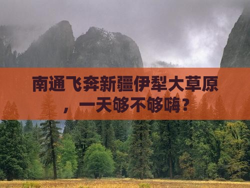 南通到新疆伊犁大草原一日
