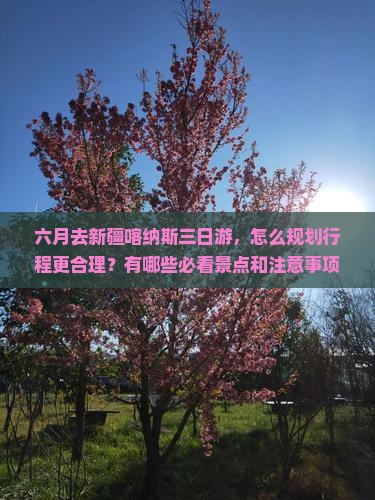 六月去新疆喀纳斯三日游 六月去新疆喀纳斯三日游