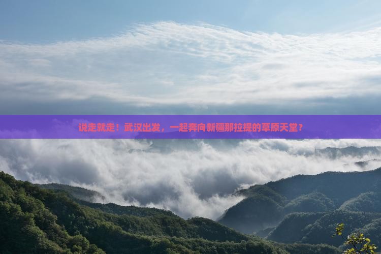 武汉去新疆那拉提团体旅游