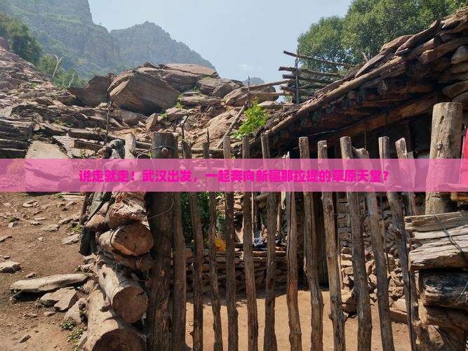 武汉去新疆那拉提团体旅游