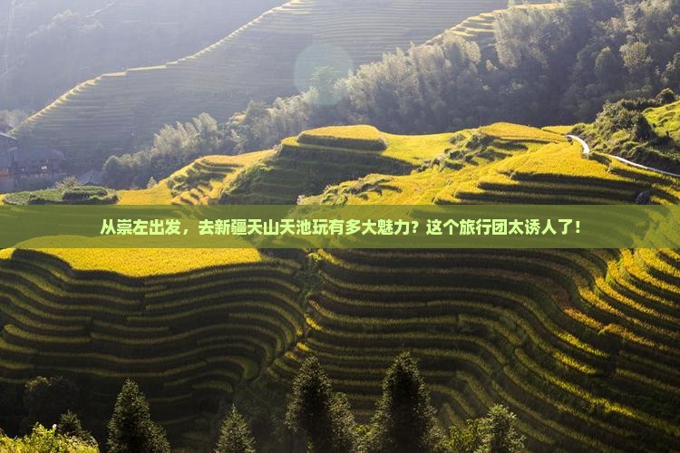 崇左去新疆天山天池大型旅游团