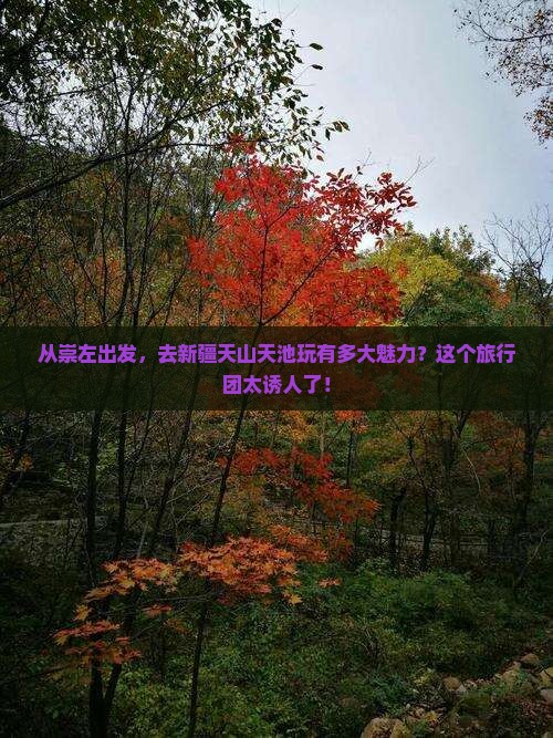 崇左去新疆天山天池大型旅游团