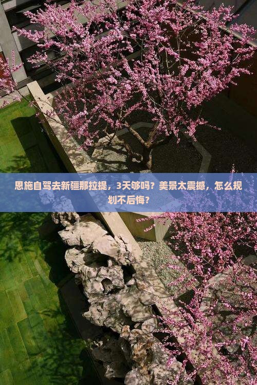 恩施到新疆那拉提景点