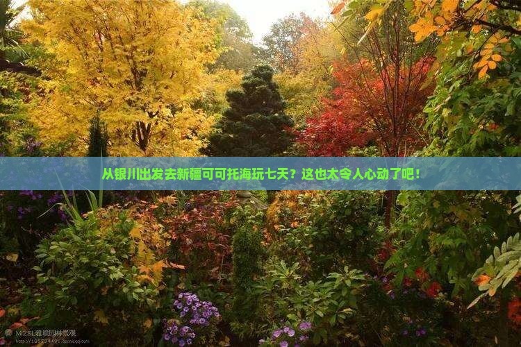 银川到新疆可可托海七日游