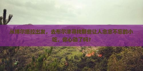 博尔塔拉去新疆布尔津旅游小吃