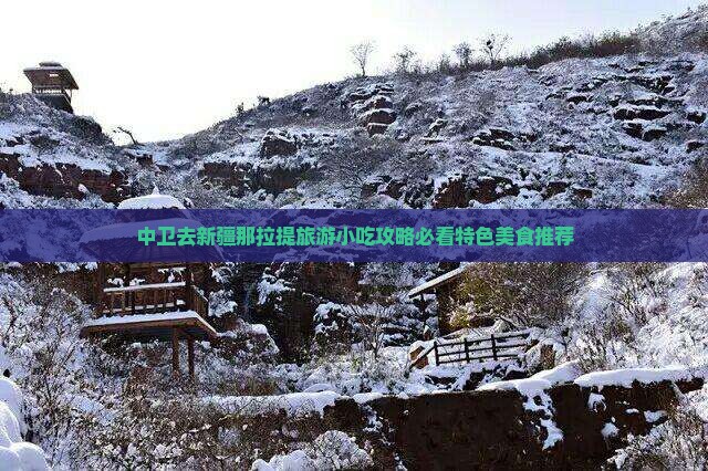 中卫去新疆那拉提旅游小吃