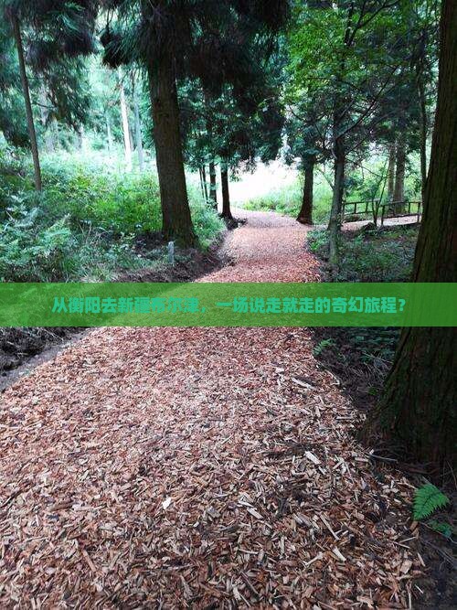 衡阳到新疆布尔津团体旅游