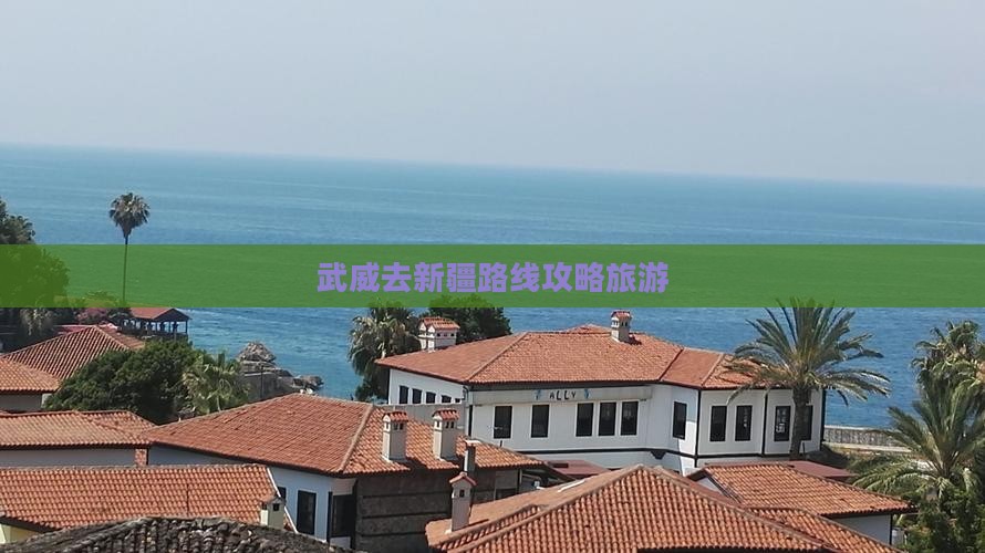 武威去新疆攻略