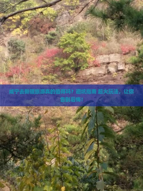 咸宁去新疆旅游