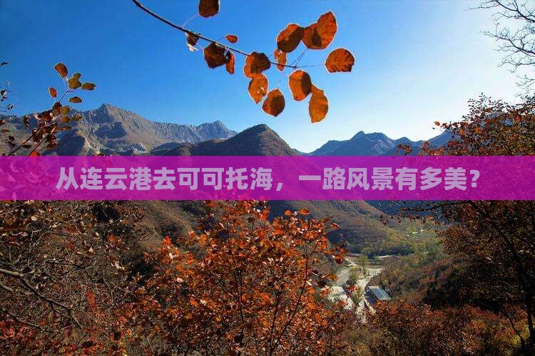 连云港到新疆可可托海景点