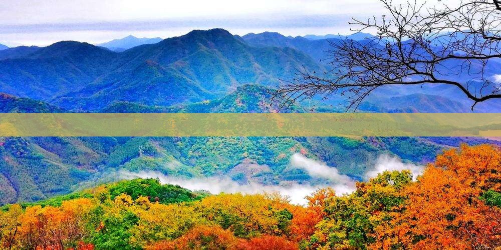廊坊到新疆伊犁大草原哪里玩
