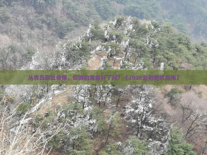 青岛到新疆吐鲁番攻略