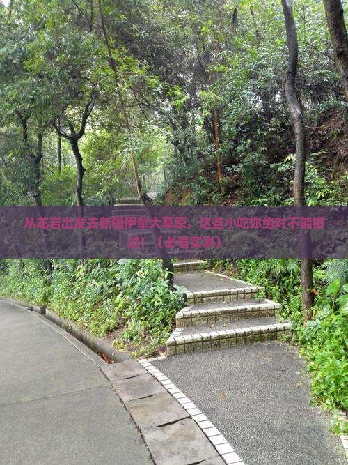 龙岩去新疆伊犁大草原旅游小吃