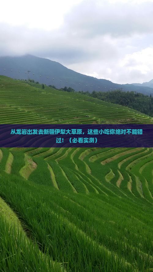 龙岩去新疆伊犁大草原旅游小吃