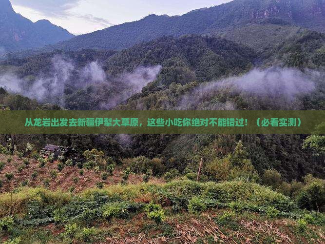 龙岩去新疆伊犁大草原旅游小吃
