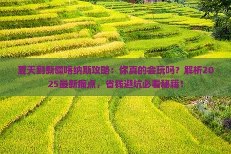 夏天到新疆喀纳斯攻略