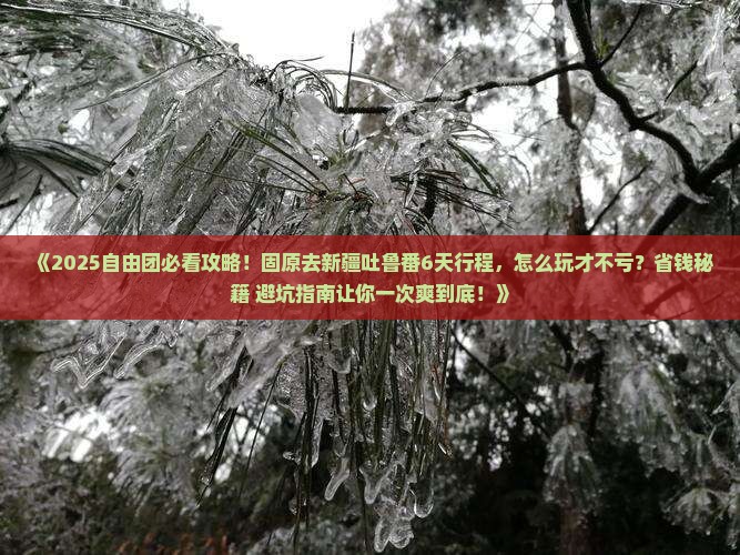 固原去新疆吐鲁番自由团
