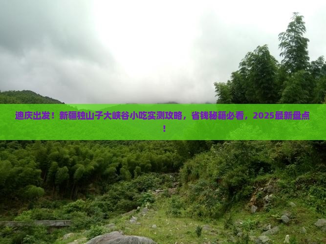 迪庆去新疆独山子大峡谷旅游小吃