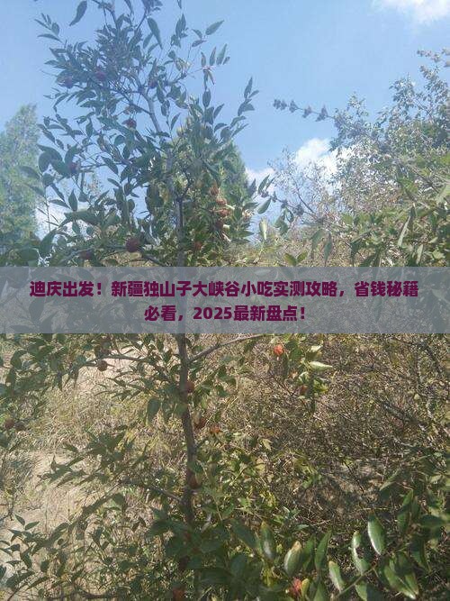 迪庆去新疆独山子大峡谷旅游小吃