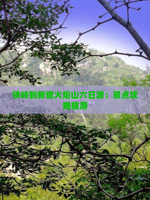 铁岭到新疆火焰山六日游