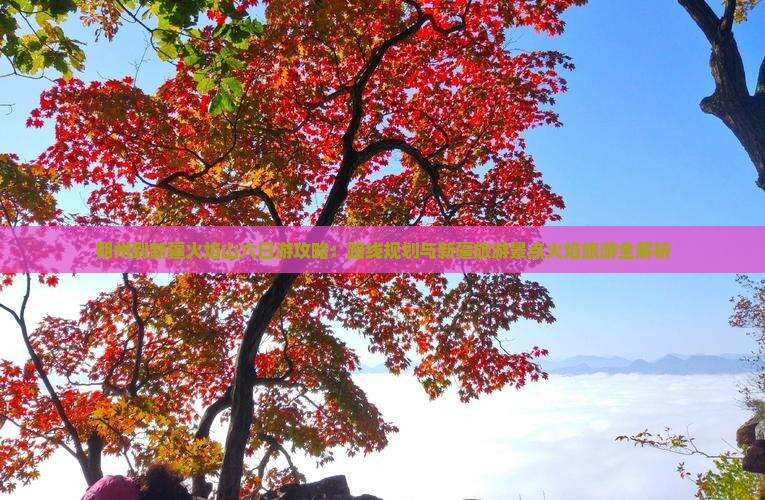 朔州到新疆火焰山六日游