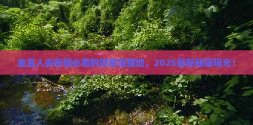 金昌去新疆必去地