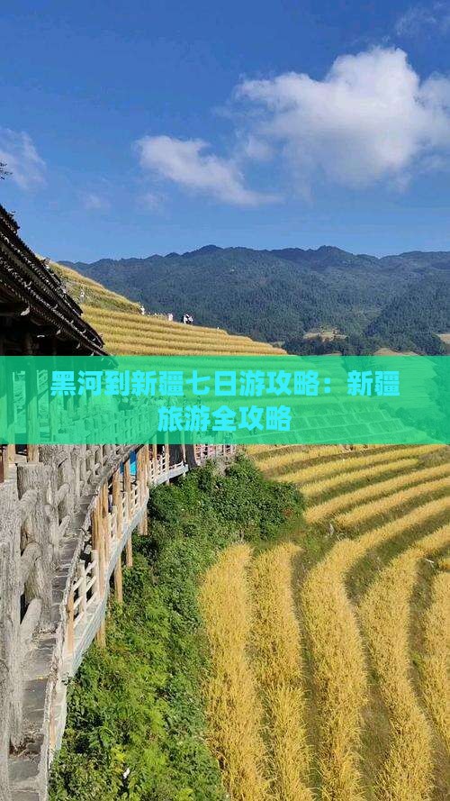 黑河到新疆七日游