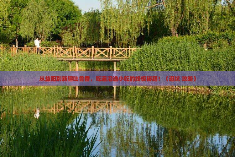益阳到新疆吐鲁番旅游小吃