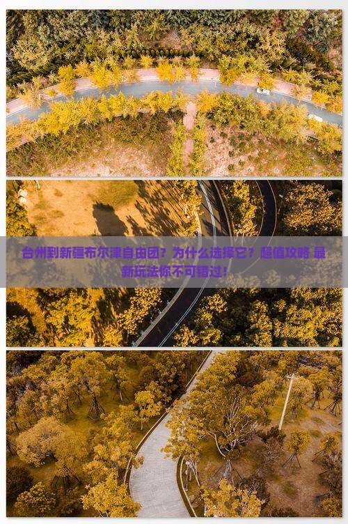 台州到新疆布尔津自由团