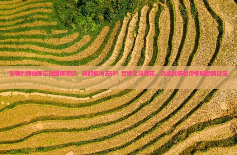 邯郸到新疆那拉提团体旅游