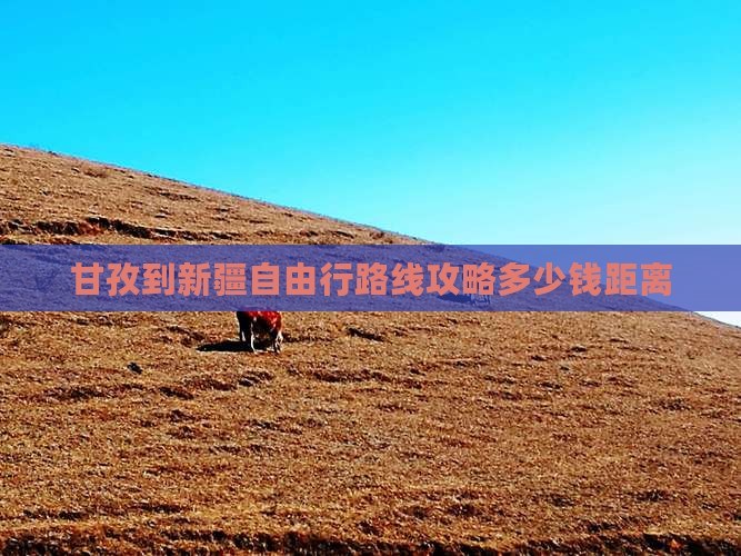 甘孜到新疆自由行