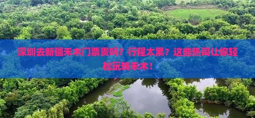 深圳去新疆禾木门票