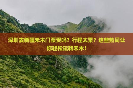 深圳去新疆禾木门票
