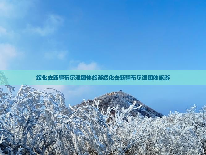 绥化去新疆布尔津团体旅游