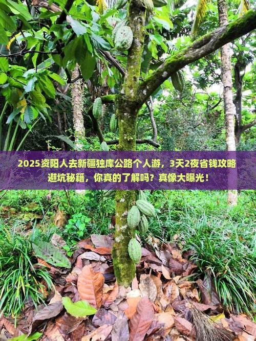 资阳去新疆独库公路个人游 资阳去新疆独库公路个人游