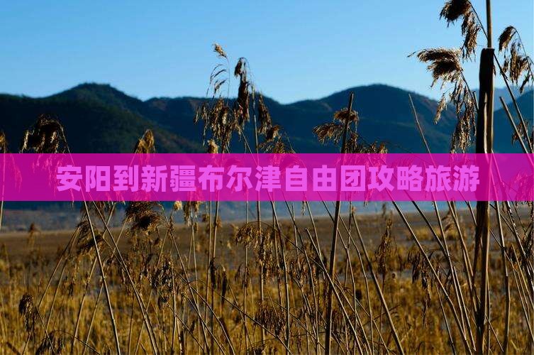 安阳到新疆布尔津自由团